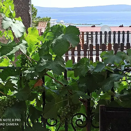Croatia 塞尔瑟